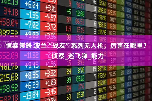 恒泰策略 波兰“战友”系列无人机，厉害在哪里？_侦察_巡飞弹_能力