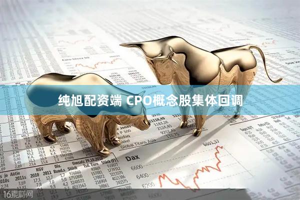纯旭配资端 CPO概念股集体回调