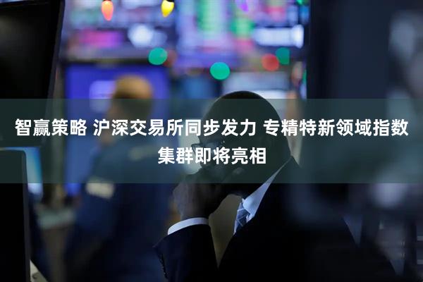 智赢策略 沪深交易所同步发力 专精特新领域指数集群即将亮相