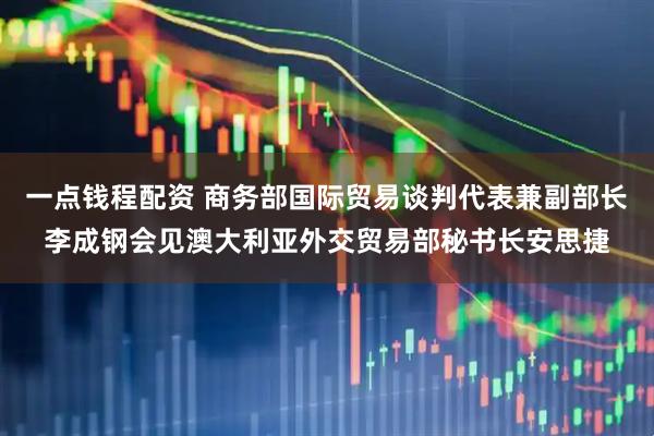 一点钱程配资 商务部国际贸易谈判代表兼副部长李成钢会见澳大利亚外交贸易部秘书长安思捷