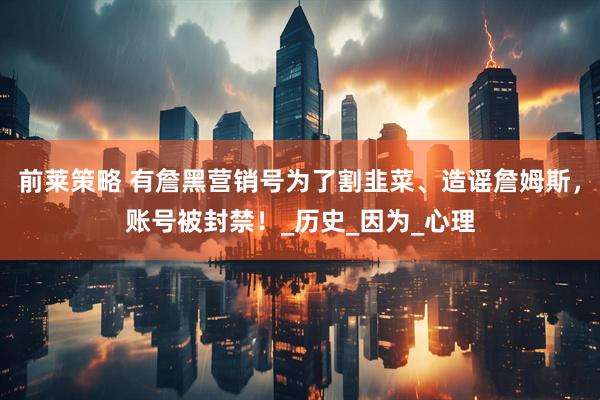前莱策略 有詹黑营销号为了割韭菜、造谣詹姆斯，账号被封禁！_历史_因为_心理