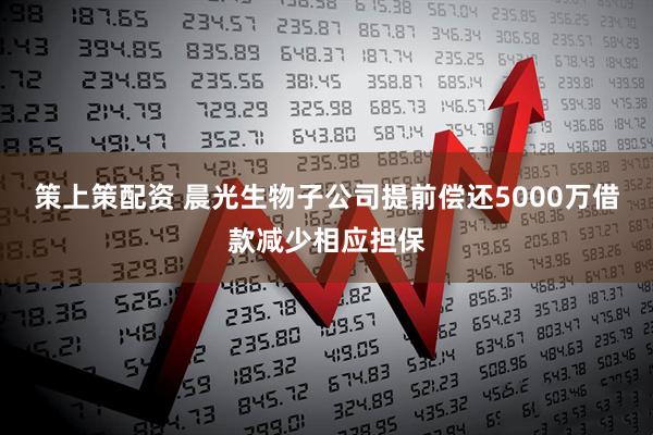 策上策配资 晨光生物子公司提前偿还5000万借款减少相应担保