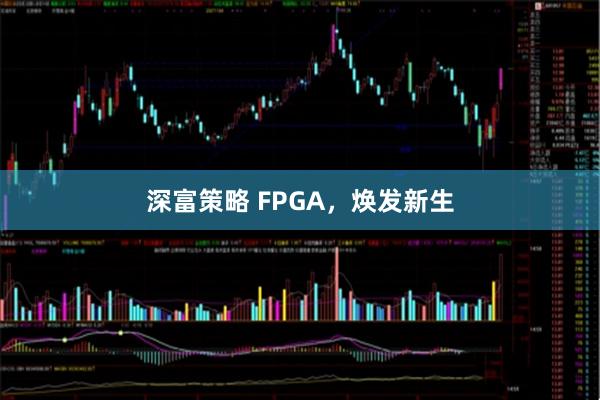 深富策略 FPGA，焕发新生
