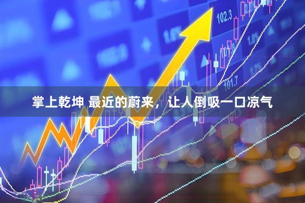 掌上乾坤 最近的蔚来，让人倒吸一口凉气