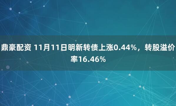 鼎豪配资 11月11日明新转债上涨0.44%，转股溢价率16.46%